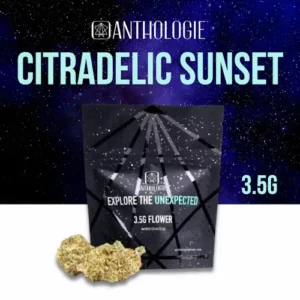 Citradelic Sunset | 3.5g