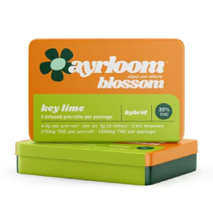 AYRLOOM - KEY LIME - 0.6G X 5 INFUSED PRE ROLLS - 3G